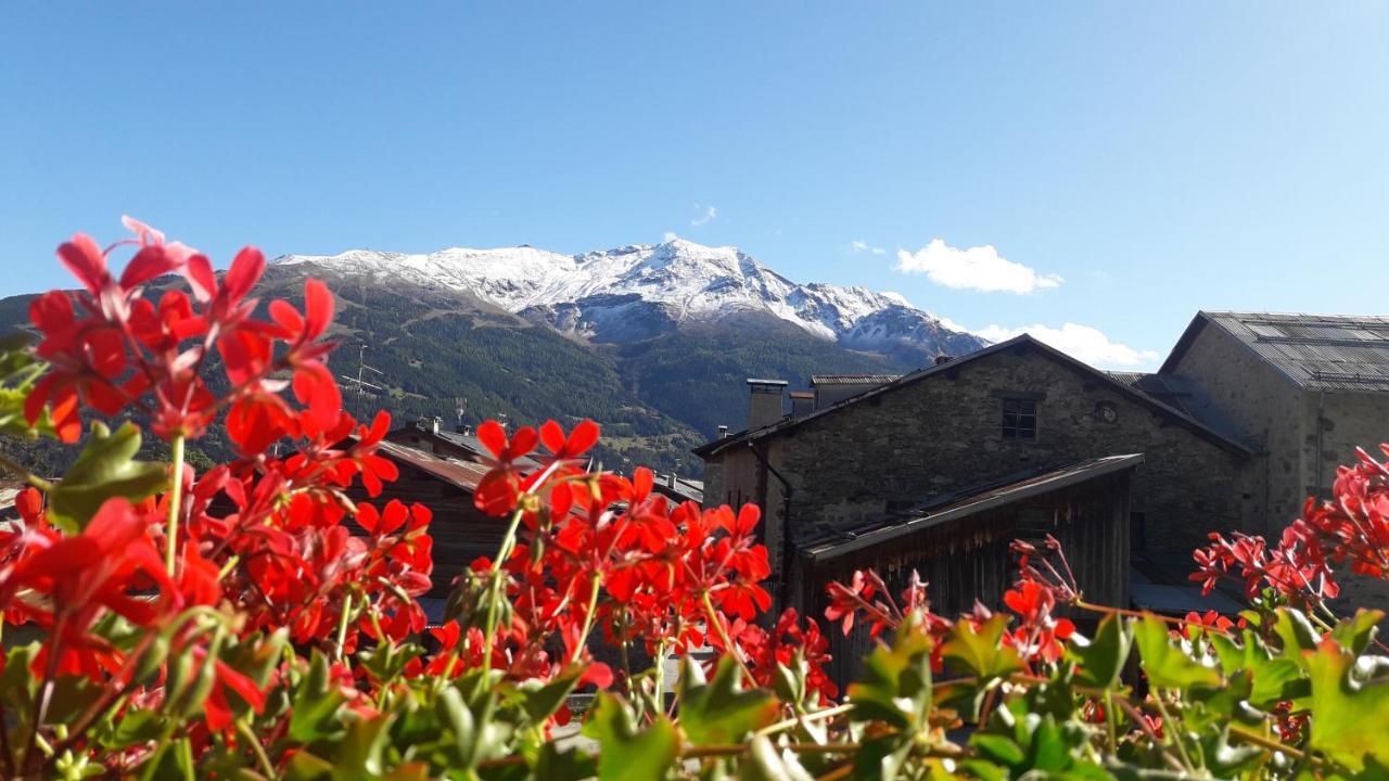 Appartamenti Baita Soliva Oga Exterior foto